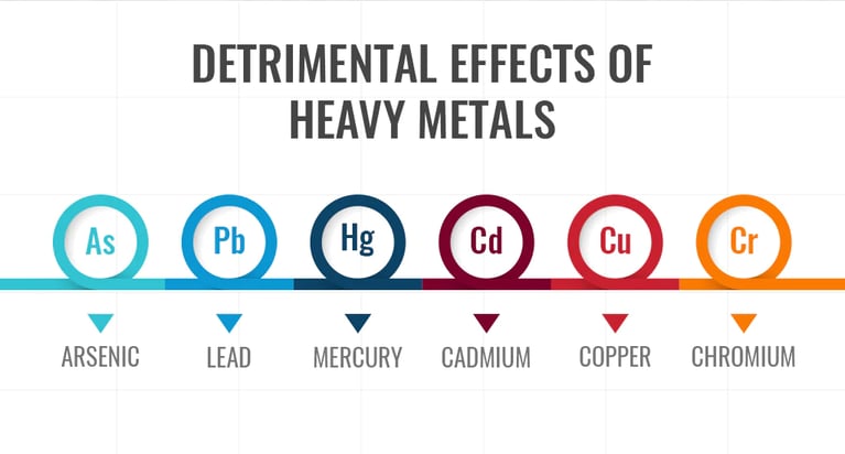 I Took a Heavy Metals Test. Here's What Happened.